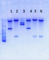 Thumbnail for version as of 14:23, 26 December 2014