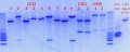 Thumbnail for version as of 15:04, 23 April 2015