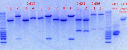 RTENOTITLE