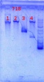 Thumbnail for version as of 12:46, 20 December 2013