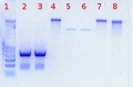 Thumbnail for version as of 15:15, 15 July 2011