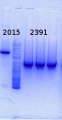 Thumbnail for version as of 14:26, 26 December 2014