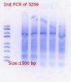 Thumbnail for version as of 13:59, 7 June 2018
