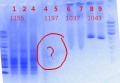 Thumbnail for version as of 10:23, 7 June 2012