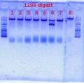 Thumbnail for version as of 13:08, 29 May 2012