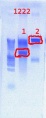 Thumbnail for version as of 09:07, 10 July 2012