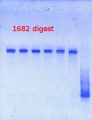 Thumbnail for version as of 16:15, 7 June 2013