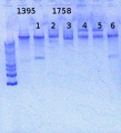 Thumbnail for version as of 11:14, 20 June 2013