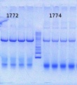 Thumbnail for version as of 12:30, 10 July 2013