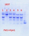 Thumbnail for version as of 14:13, 3 September 2013