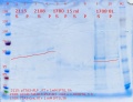 Thumbnail for version as of 00:09, 18 February 2019