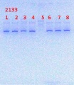 Thumbnail for version as of 10:58, 25 March 2014