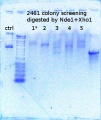 Thumbnail for version as of 17:27, 1 July 2015