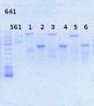 Thumbnail for version as of 11:36, 6 August 2013
