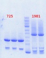 Thumbnail for version as of 17:36, 17 January 2014