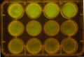 Thumbnail for version as of 11:55, 29 November 2011