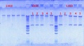Thumbnail for version as of 12:57, 27 August 2012