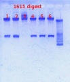 Thumbnail for version as of 13:52, 31 January 2013
