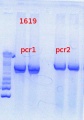 Thumbnail for version as of 10:00, 27 June 2013