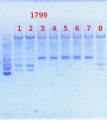 Thumbnail for version as of 13:43, 31 July 2013