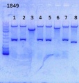 Thumbnail for version as of 13:39, 12 September 2013