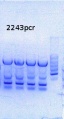 Thumbnail for version as of 11:46, 10 June 2014