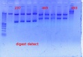 Thumbnail for version as of 17:06, 14 November 2011