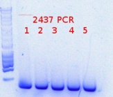 RTENOTITLE