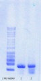 Thumbnail for version as of 17:51, 29 August 2016