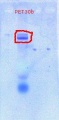 Thumbnail for version as of 13:43, 18 October 2011