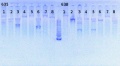 Thumbnail for version as of 15:37, 21 June 2013