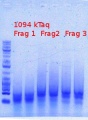 Thumbnail for version as of 16:59, 12 May 2012