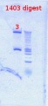 Thumbnail for version as of 10:50, 28 September 2012