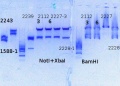 Thumbnail for version as of 15:10, 12 June 2014