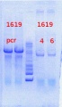 Thumbnail for version as of 10:01, 27 June 2013