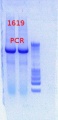 Thumbnail for version as of 13:15, 29 March 2013