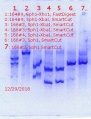 Thumbnail for version as of 15:23, 31 December 2018