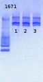 Thumbnail for version as of 14:41, 1 March 2013