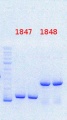 Thumbnail for version as of 10:58, 23 September 2013