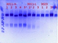Thumbnail for version as of 15:58, 25 September 2017
