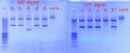 Thumbnail for version as of 16:00, 5 January 2012