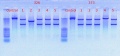 Thumbnail for version as of 15:50, 1 December 2011