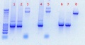 Thumbnail for version as of 14:58, 27 September 2011