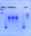 Thumbnail for version as of 16:03, 23 September 2013
