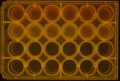 Thumbnail for version as of 10:24, 7 April 2016