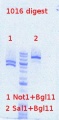 Thumbnail for version as of 09:54, 10 May 2012