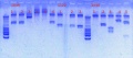 Thumbnail for version as of 18:38, 18 January 2013