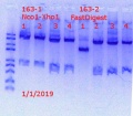 Thumbnail for version as of 20:39, 1 January 2019