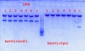 Thumbnail for version as of 14:47, 25 October 2013