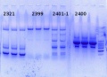 Thumbnail for version as of 17:18, 13 January 2015